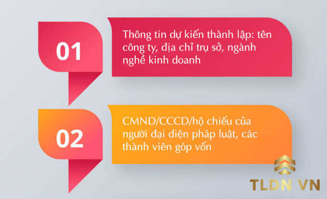  Tư vấn chọn người đại diện theo pháp luật của công ty tại Bình Định